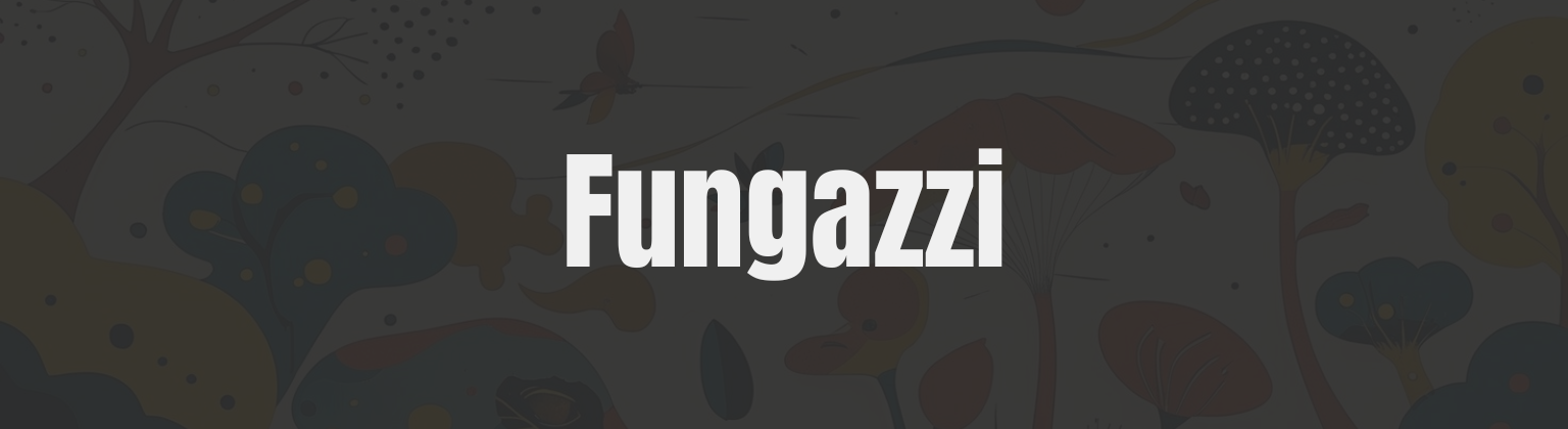 Klient z branży suplementów diety - Fungazzi